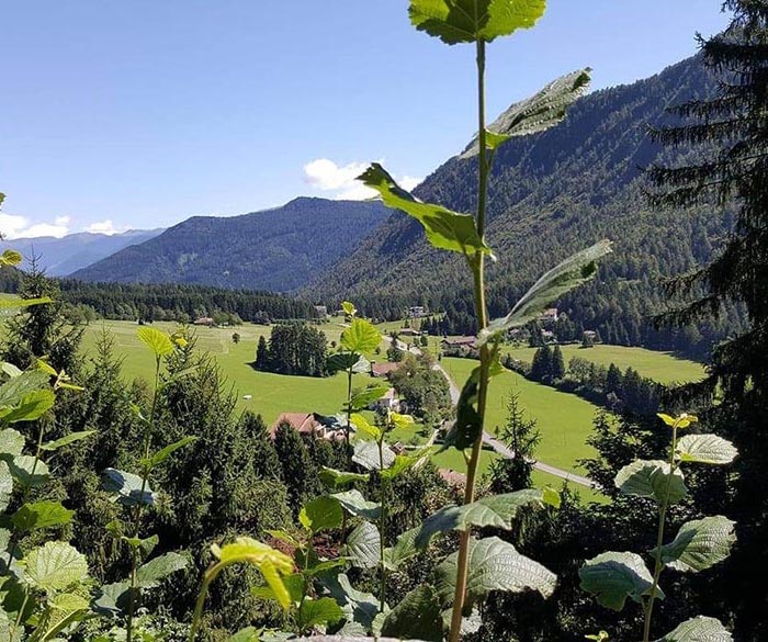 HTML5 Bootstrap Template by colorlib.com